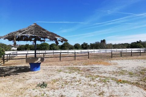 Villa i Algoz, Faro, Algoz - € 1.790.000 | Ref: 4231 - foto 30