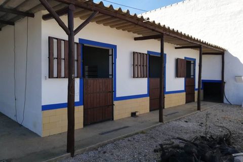 Villa i Algoz, Faro, Algoz - € 1.790.000 | Ref: 4231 - foto 34