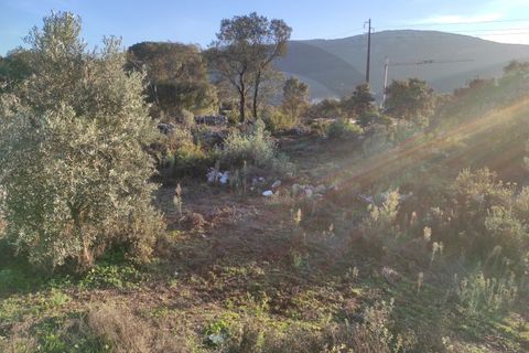 Terra a Minde, Santarem, Minde - € 50.000 | Ref: C0269-01524 - foto 4