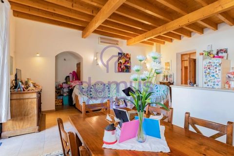 Erhvervsejendom i Estoi, Faro, Estoi - € 750.000 | Ref: 6423008 - foto 20