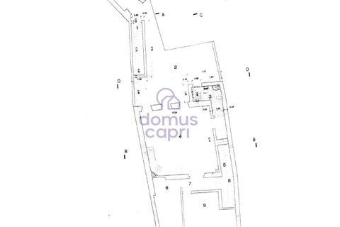 Erhvervsejendom i Estoi, Faro, Estoi - € 750.000 | Ref: 6423008 - foto 33