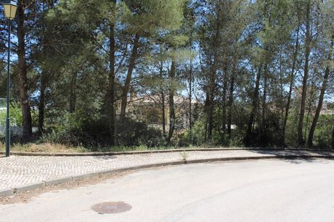 Helårsgrund i Budens, Faro, Budens - € 232.750 | Ref: PAR_257 - foto 6