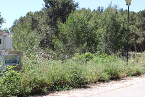 Helårsgrund i Budens, Faro, Budens - € 270.000 | Ref: PAR_254 - foto 5