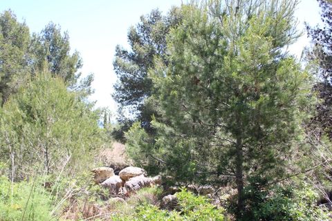 Helårsgrund i Budens, Faro, Budens - € 270.000 | Ref: PAR_254 - foto 6