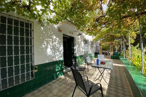 Landejendom i Loja, Granada, Loja - € 550.000 | Ref: APIA-DEKCH7-423 - foto 33