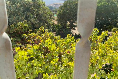 Landejendom i Loja, Granada, Loja - € 550.000 | Ref: APIA-DEKCH7-423 - foto 24