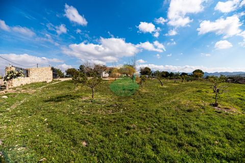 Finca i Leiva, Murcia, Leiva - € 399.000 | Ref: LEIVA04 - foto 8