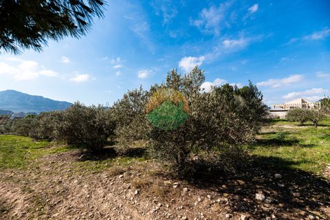 Finca i Leiva, Murcia, Leiva - € 399.000 | Ref: LEIVA04 - foto 22