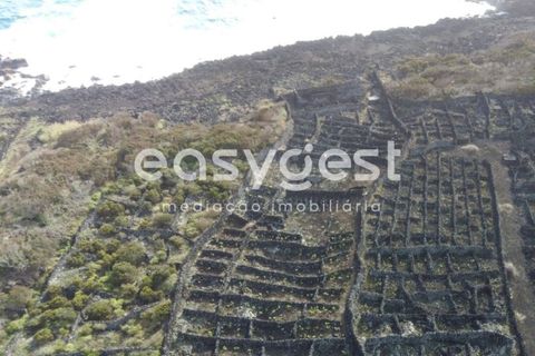 Helårsgrund i Candelaria, Pico, Candelaria - € 35.000 | Ref: AZ92206FR - foto 2