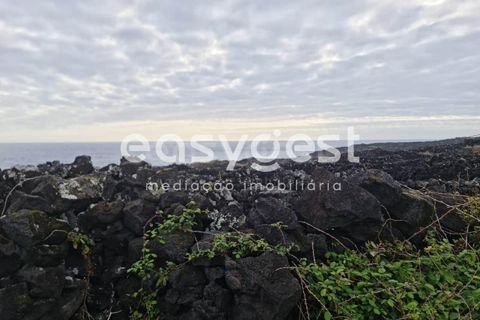 Helårsgrund i Candelaria, Pico, Candelaria - € 35.000 | Ref: AZ92206FR - foto 3