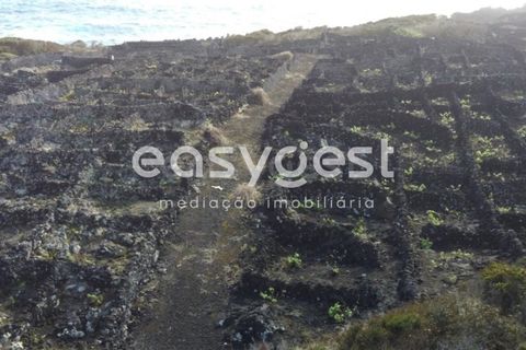 Helårsgrund i Candelaria, Pico, Candelaria - € 35.000 | Ref: AZ92206FR - foto 4