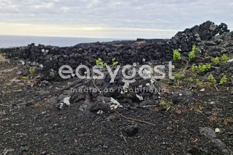 Helårsgrund i Candelaria, Pico, Candelaria - € 35.000 | Ref: AZ92206FR - foto 7