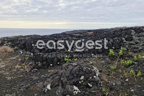 Helårsgrund i Candelaria, Pico, Candelaria - € 35.000 | Ref: AZ92206FR - foto 8