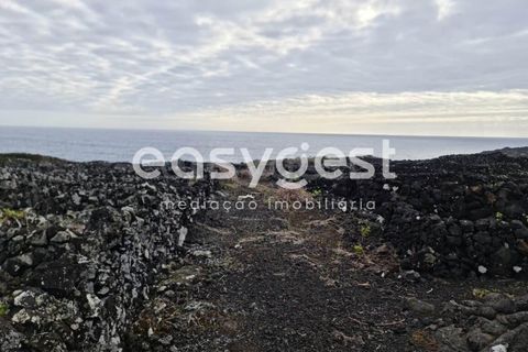 Helårsgrund i Candelaria, Pico, Candelaria - € 35.000 | Ref: AZ92206FR - foto 9