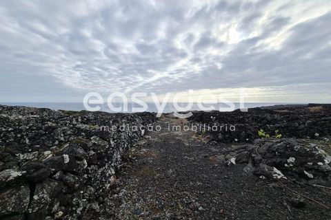 Helårsgrund i Candelaria, Pico, Candelaria - € 35.000 | Ref: AZ92206FR - foto 15