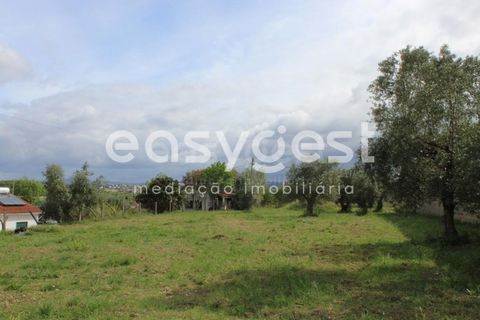 Helårsgrund i Tomar, Santarem, Tomar - € 80.000 | Ref: TM92179 - foto 1
