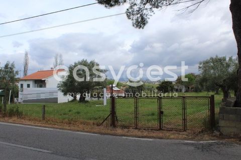 Helårsgrund i Tomar, Santarem, Tomar - € 80.000 | Ref: TM92179 - foto 2
