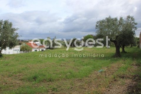 Helårsgrund i Tomar, Santarem, Tomar - € 80.000 | Ref: TM92179 - foto 3