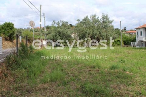 Helårsgrund i Tomar, Santarem, Tomar - € 80.000 | Ref: TM92179 - foto 4
