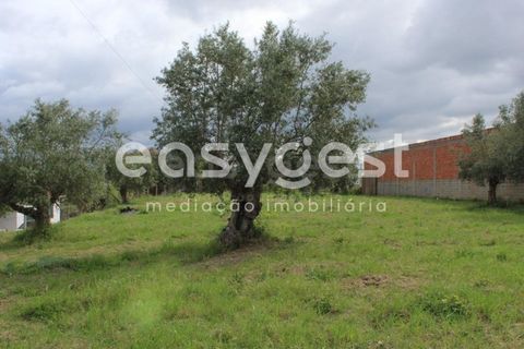 Helårsgrund i Tomar, Santarem, Tomar - € 80.000 | Ref: TM92179 - foto 5