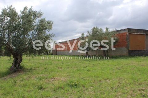 Helårsgrund i Tomar, Santarem, Tomar - € 80.000 | Ref: TM92179 - foto 6