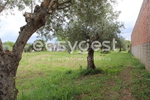 Helårsgrund i Tomar, Santarem, Tomar - € 80.000 | Ref: TM92179 - foto 7