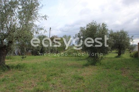Helårsgrund i Tomar, Santarem, Tomar - € 80.000 | Ref: TM92179 - foto 9