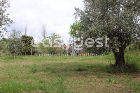 Helårsgrund i Tomar, Santarem, Tomar - € 80.000 | Ref: TM92179 - foto 10