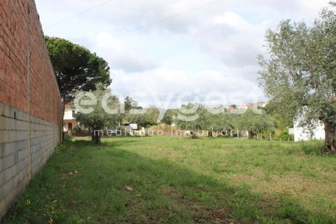 Helårsgrund i Tomar, Santarem, Tomar - € 80.000 | Ref: TM92179 - foto 11