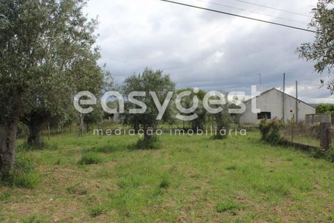 Helårsgrund i Tomar, Santarem, Tomar - € 80.000 | Ref: TM92179 - foto 12