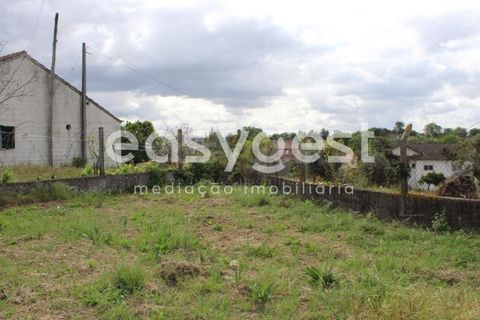 Helårsgrund i Tomar, Santarem, Tomar - € 80.000 | Ref: TM92179 - foto 13