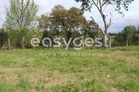 Helårsgrund i Tomar, Santarem, Tomar - € 80.000 | Ref: TM92179 - foto 14