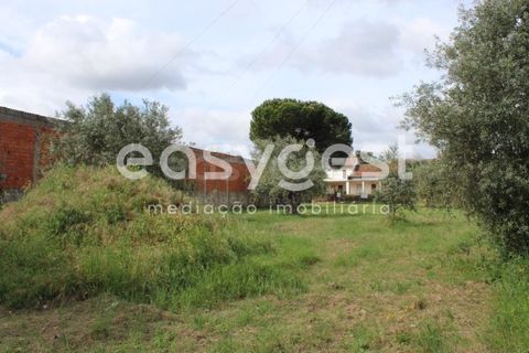 Helårsgrund i Tomar, Santarem, Tomar - € 80.000 | Ref: TM92179 - foto 16