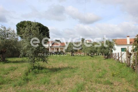 Helårsgrund i Tomar, Santarem, Tomar - € 80.000 | Ref: TM92179 - foto 17