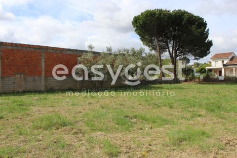 Helårsgrund i Tomar, Santarem, Tomar - € 80.000 | Ref: TM92179 - foto 18