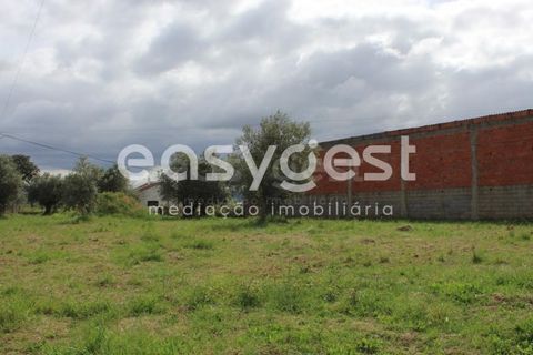 Helårsgrund i Tomar, Santarem, Tomar - € 80.000 | Ref: TM92179 - foto 19