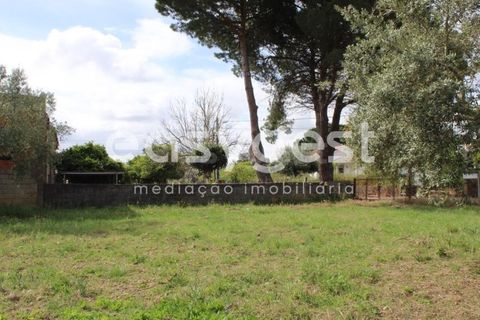 Helårsgrund i Tomar, Santarem, Tomar - € 80.000 | Ref: TM92179 - foto 20