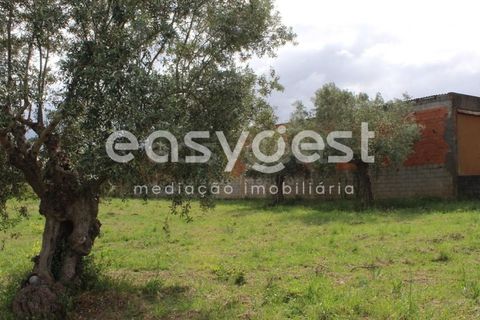 Helårsgrund i Tomar, Santarem, Tomar - € 80.000 | Ref: TM92179 - foto 21