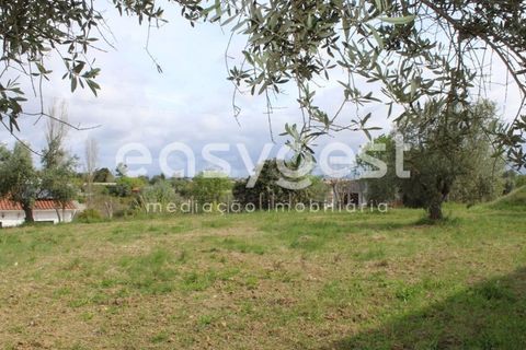 Helårsgrund i Tomar, Santarem, Tomar - € 80.000 | Ref: TM92179 - foto 22