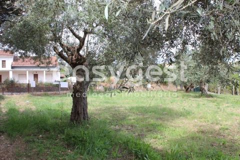 Helårsgrund i Tomar, Santarem, Tomar - € 80.000 | Ref: TM92179 - foto 23