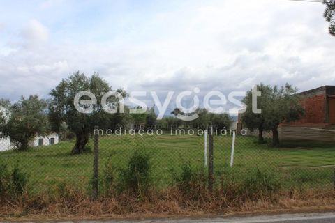 Helårsgrund i Tomar, Santarem, Tomar - € 80.000 | Ref: TM92179 - foto 24