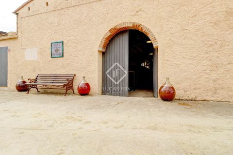 Landejendom i El Molar, Tarragona, El Molar - € 5.250.000 | Ref: TAR41383 - foto 45