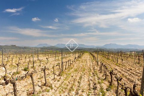 Landejendom i El Molar, Tarragona, El Molar - € 5.250.000 | Ref: TAR41383 - foto 50