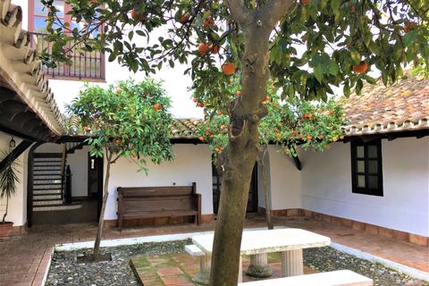 Cortijo a San Enrique De Guadiaro, Cadiz - foto 4