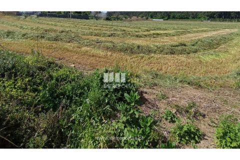 Helårsgrund i Vila do Conde, Porto, Vila do Conde - € 1.200.000 | Ref: VC04305 - foto 4