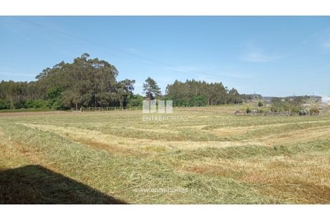 Helårsgrund i Vila do Conde, Porto, Vila do Conde - € 1.200.000 | Ref: VC04305 - foto 5