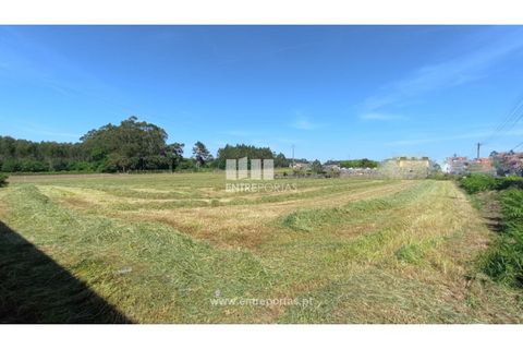 Helårsgrund i Vila do Conde, Porto, Vila do Conde - € 1.200.000 | Ref: VC04305 - foto 7
