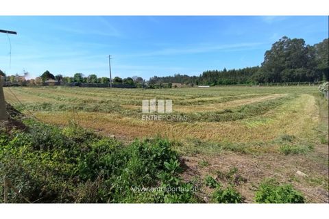 Helårsgrund i Vila do Conde, Porto, Vila do Conde - € 1.200.000 | Ref: VC04305 - foto 8