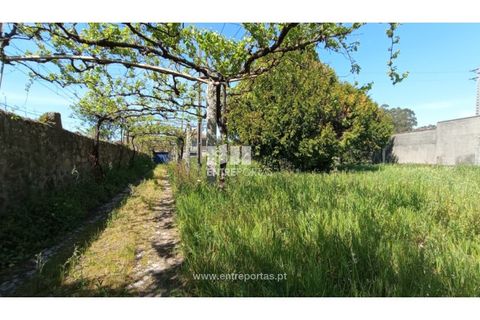 Masia a Vila do Conde, Porto, Vila do Conde - € 600.000 | Ref: VC04304 - foto 20