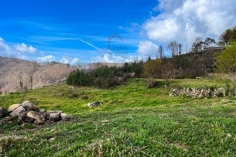 Helårsgrund i Joane, Braga, Joane - € 194.000 | Ref: L-TR-43-23 - foto 5